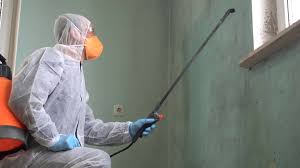 Best Forensic Mold Investigation in USA